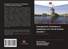 Bookcover of Changement climatique et adaptation sur l'île de Pemba, Zanzibar :