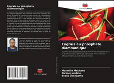 Обложка Engrais au phosphate diammonique