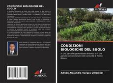 Обложка CONDIZIONI BIOLOGICHE DEL SUOLO