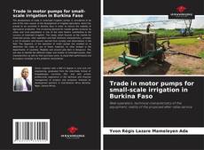Trade in motor pumps for small-scale irrigation in Burkina Faso kitap kapağı