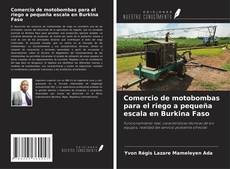 Couverture de Comercio de motobombas para el riego a pequeña escala en Burkina Faso