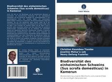 Bookcover of Biodiversität des einheimischen Schweins (Sus scrofa domesticus) in Kamerun