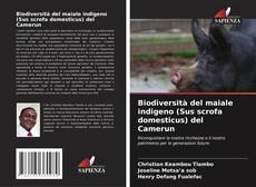 Biodiversità del maiale indigeno (Sus scrofa domesticus) del Camerun kitap kapağı