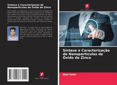 Обложка Síntese e Caracterização de Nanopartículas de Óxido de Zinco