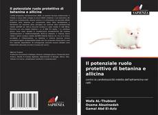 Capa do livro de Il potenziale ruolo protettivo di betanina e allicina 