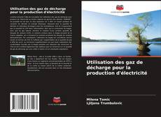 Bookcover of Utilisation des gaz de décharge pour la production d'électricité