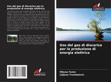Buchcover von Uso del gas di discarica per la produzione di energia elettrica