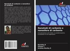 Portada del libro de Nanotubi di carbonio e nanosfere di carbonio