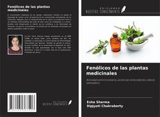 Borítókép a  Fenólicos de las plantas medicinales - hoz