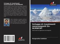 Buchcover von Sviluppo di rivestimenti nanocompositi Zn-Ni/MWCNT