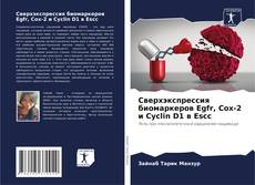 Buchcover von Сверхэкспрессия биомаркеров Egfr, Cox-2 и Cyclin D1 в Escc