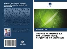 Copertina di Dotierte Hexaferrite zur EMI-Unterdrückung, hergestellt mit Weinsäure
