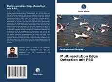 Copertina di Multiresolution Edge Detection mit PSO