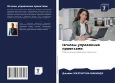 Buchcover von Основы управления проектами