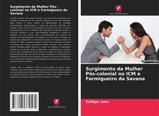 Surgimento da Mulher Pós-colonial no ICM e Formigueiro da Savana kitap kapağı