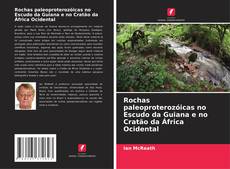 Bookcover of Rochas paleoproterozóicas no Escudo da Guiana e no Cratão da África Ocidental