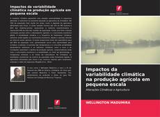 Portada del libro de Impactos da variabilidade climática na produção agrícola em pequena escala