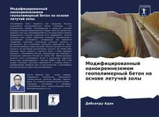 Bookcover of Модифицированный нанокремнеземом геополимерный бетон на основе летучей золы