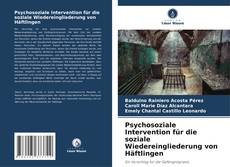 Psychosoziale Intervention für die soziale Wiedereingliederung von Häftlingen的封面