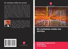 Bookcover of Os curtumes estão em serviço