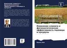 Copertina di Изменение климата и фотосинтетическая эффективность пшеницы и кукурузы