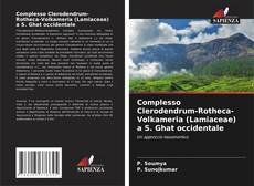 Bookcover of Complesso Clerodendrum-Rotheca-Volkameria (Lamiaceae) a S. Ghat occidentale