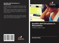 Qualità dell'istruzione in Mozambico kitap kapağı
