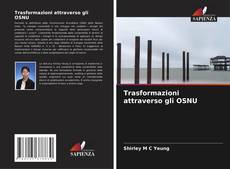 Bookcover of Trasformazioni attraverso gli OSNU