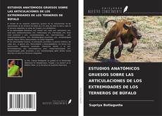 ESTUDIOS ANATÓMICOS GRUESOS SOBRE LAS ARTICULACIONES DE LOS EXTREMIDADES DE LOS TERNEROS DE BÚFALO的封面