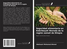 Capa do livro de Seguridad alimentaria en Kebribeyah Woreda de la región somalí de Etiopía 