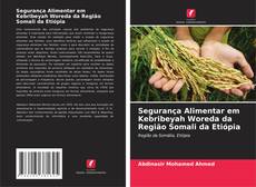 Capa do livro de Segurança Alimentar em Kebribeyah Woreda da Região Somali da Etiópia 