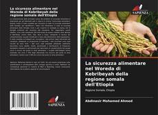 Portada del libro de La sicurezza alimentare nel Woreda di Kebribeyah della regione somala dell'Etiopia