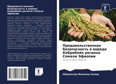 Bookcover of Продовольственная безопасность в вореде Кебрибейя региона Сомали Эфиопии