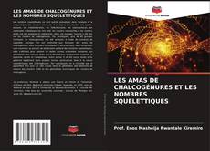 Bookcover of LES AMAS DE CHALCOGÉNURES ET LES NOMBRES SQUELETTIQUES