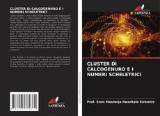 CLUSTER DI CALCOGENURO E I NUMERI SCHELETRICI kitap kapağı