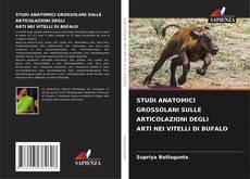 Bookcover of STUDI ANATOMICI GROSSOLANI SULLE ARTICOLAZIONI DEGLI ARTI NEI VITELLI DI BUFALO