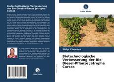 Biotechnologische Verbesserung der Bio-Diesel-Pflanze Jatropha Curcas kitap kapağı