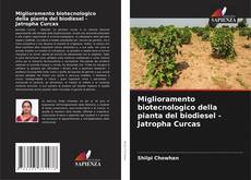 Buchcover von Miglioramento biotecnologico della pianta del biodiesel - Jatropha Curcas