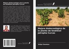 Copertina di Mejora biotecnológica de la planta de biodiésel Jatropha Curcas
