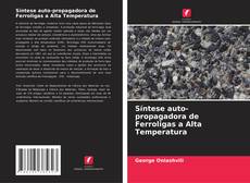 Bookcover of Síntese auto-propagadora de Ferroligas a Alta Temperatura