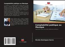 Bookcover of Comptabilité publique au Mexique