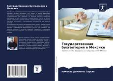 Bookcover of Государственная бухгалтерия в Мексике