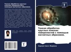 Copertina di Тонкая обработка круглых плоских поверхностей с помощью магнитных абразивов.