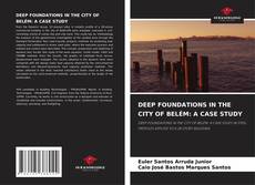 Copertina di DEEP FOUNDATIONS IN THE CITY OF BELÉM: A CASE STUDY