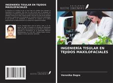 Bookcover of INGENIERÍA TISULAR EN TEJIDOS MAXILOFACIALES