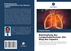 Capa do livro de Bekämpfung der Lungentuberkulose: Der Weg des Ingwers 