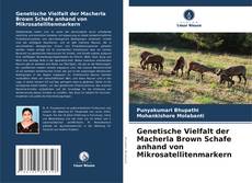 Portada del libro de Genetische Vielfalt der Macherla Brown Schafe anhand von Mikrosatellitenmarkern