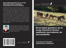 Buchcover von Diversidad genética de la oveja Macherla Brown mediante marcadores de microsatélite