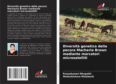 Обложка Diversità genetica della pecora Macherla Brown mediante marcatori microsatelliti