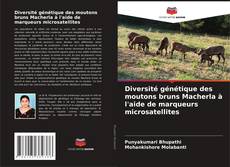 Bookcover of Diversité génétique des moutons bruns Macherla à l'aide de marqueurs microsatellites
